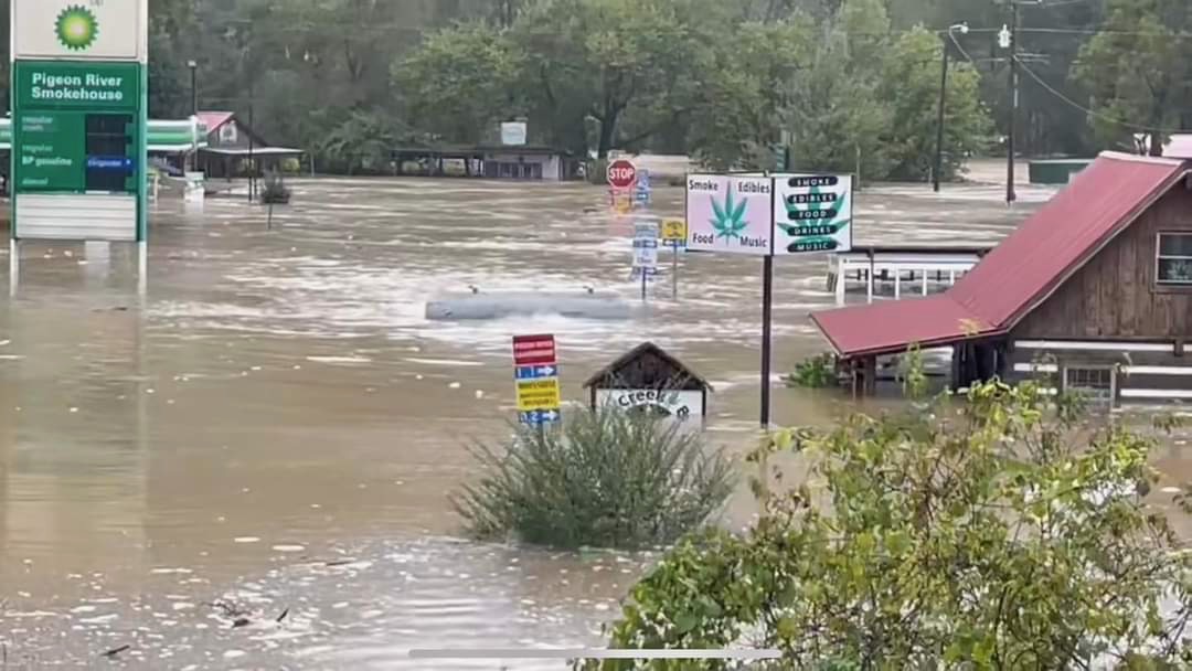 UT System President Randy Boyd tweet media