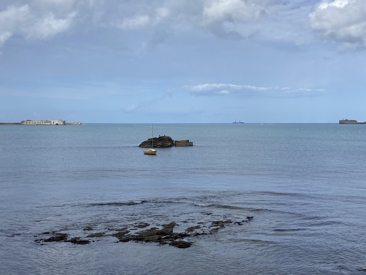 THDGrainoble's tweet image. Une mer d’huile aujourd’hui dans la rade ⁦@VilleCherbourg⁩ et une pensée aux agriculteurs 🧑‍🌾👨‍🌾 producteurs 🌻dont la récolte est encore sur pied #ceuxquinousnourrissent ⁦@terresoleopro⁩ ⁦@terresinovia⁩ ⁦@terresunivia⁩ ⁦@Avril⁩ #Isio4 #LinSem