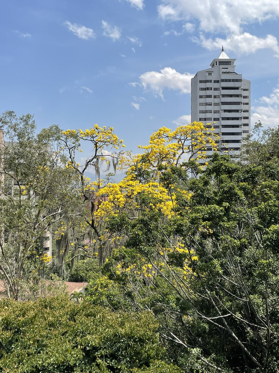 Conmemoramos hoy el día mundial del hábitat y de la arquitectura. Una excusa para saludar a mis amigos arquitectos y urbanistas que tanto admiro. <a href="/Claudia_GarciaL/">Claudia García Loboguerrero</a>  <a href="/PerezJaramilloA/">PerezJaramilloArq</a>  <a href="/SergioRoldanG/">Sergio Roldán</a> <a href="/monpabon/">Mónica Pabón</a> <a href="/LuisRoDuran/">Luis Roberto Durán Duque</a> <a href="/BeatrizRave/">Beatriz Rave</a> <a href="/anibalgaviria/">Aníbal Gaviria Correa</a>