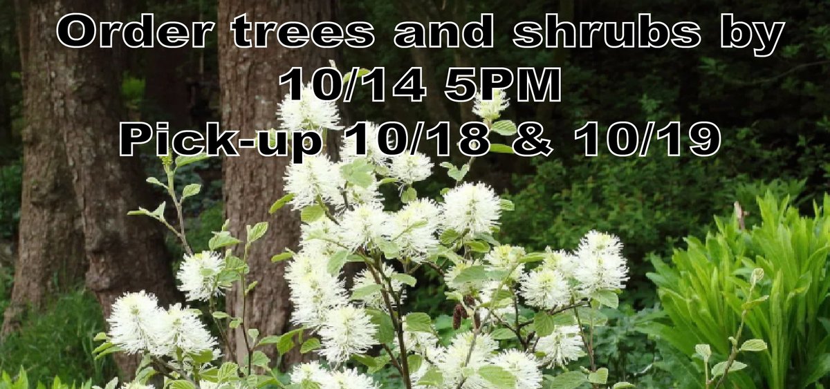 Our LAST fall tree and shrub pre-order is now live at watermarkwoods.com! 🌳🍂 Order by 5 PM on 10/14 and pick up your selections on 10/18 or 10/19. With limited availability, don't wait to reserve your favorites! ⏳✨

watermarkgiftshop.square.site