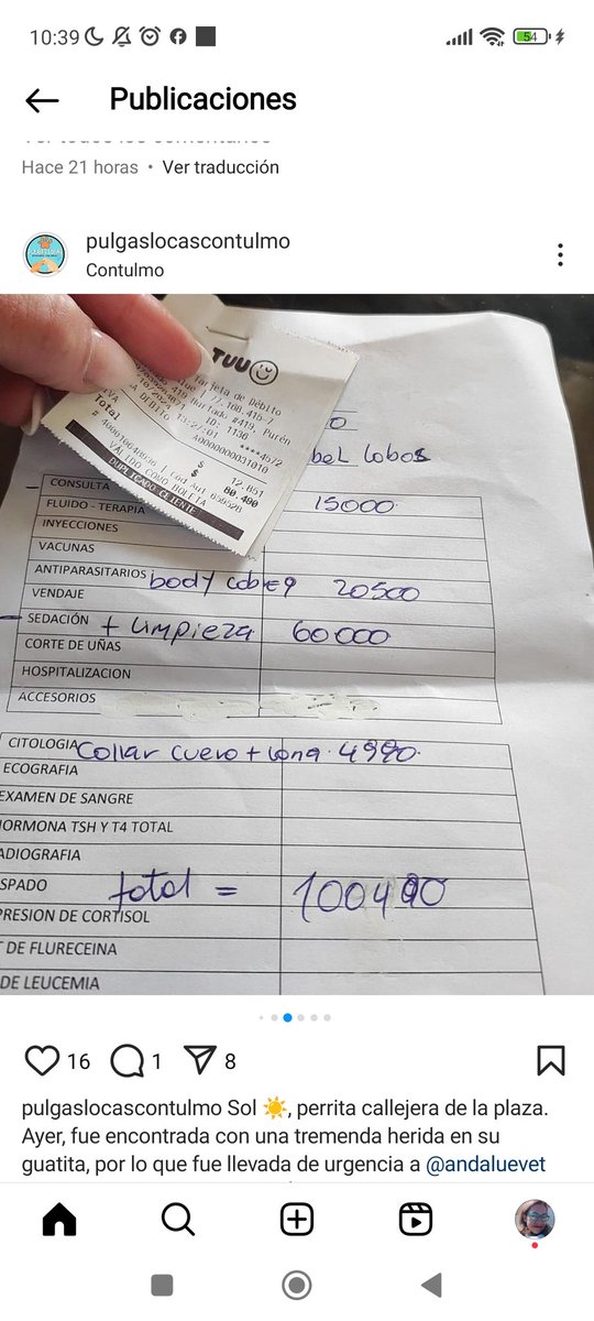 Chilena9772's tweet photo. Perrita de la Plaza de #Contulmo es encontrada con una fea herida, ayuda para pagar sus gastos veterinarios 🙏🏻
#RegionBiobio #Chile ⏬⏬⏬⚠️⚠️
RT @eltuitdemarsh @patrmarsh @NAVALTOONS @infobiobio @Porfidora @bartorell @rojolatapiat @jrdevices @SoledadPerezAct @kattykowaleczko https://t.co/fkbua06cQ2