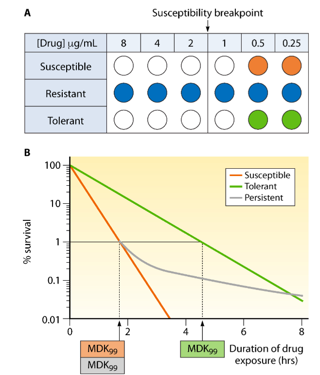 #MicrobiologyMonday: Antibiotic tolerance makes it hard to treat bacterial infections. But how big of a problem is tolerance? In #ClinMicroRev, scientists point to a need for standardized detection methods to fully grasp the scale of the issue. asm.social/27E