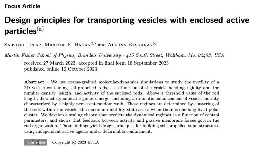 epl_journal's tweet photo. FREE TO READ - FOCUS ARTICLE: Design principles for transporting vesicles with enclosed active particles by Sarvesh Uplap, Michael F. Hagan and Aparna Baskaran #FreeToRead #FocusArticle

@BrandeisU @BrandeisScience 

👉 https://t.co/hKv10EfGvw https://t.co/mTcDhY2jN0