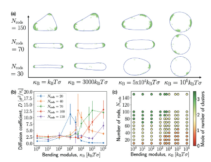 epl_journal's tweet photo. FREE TO READ - FOCUS ARTICLE: Design principles for transporting vesicles with enclosed active particles by Sarvesh Uplap, Michael F. Hagan and Aparna Baskaran #FreeToRead #FocusArticle

@BrandeisU @BrandeisScience 

👉 https://t.co/hKv10EfGvw https://t.co/mTcDhY2jN0