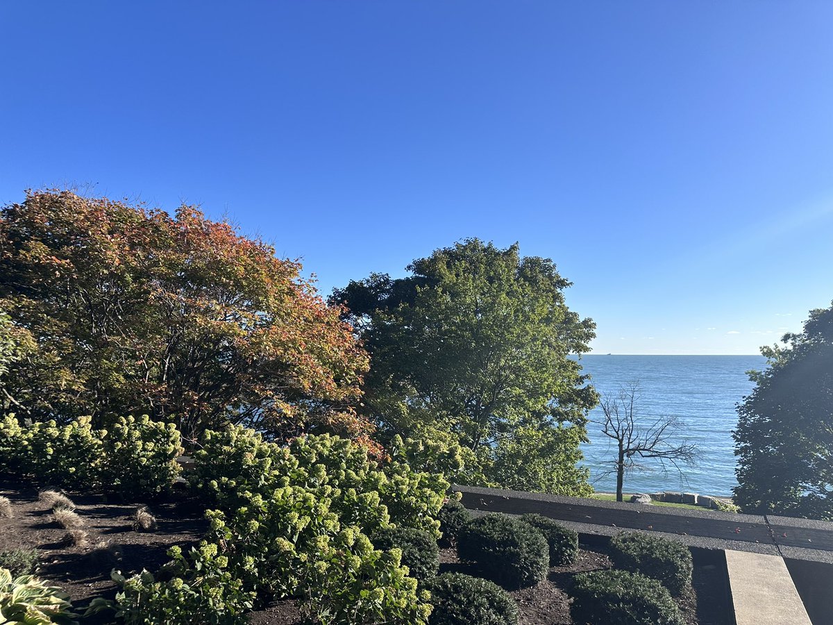AbePalmer's tweet image. Beautiful morning walking along Lake Michigan in Chicago at #SfN24
