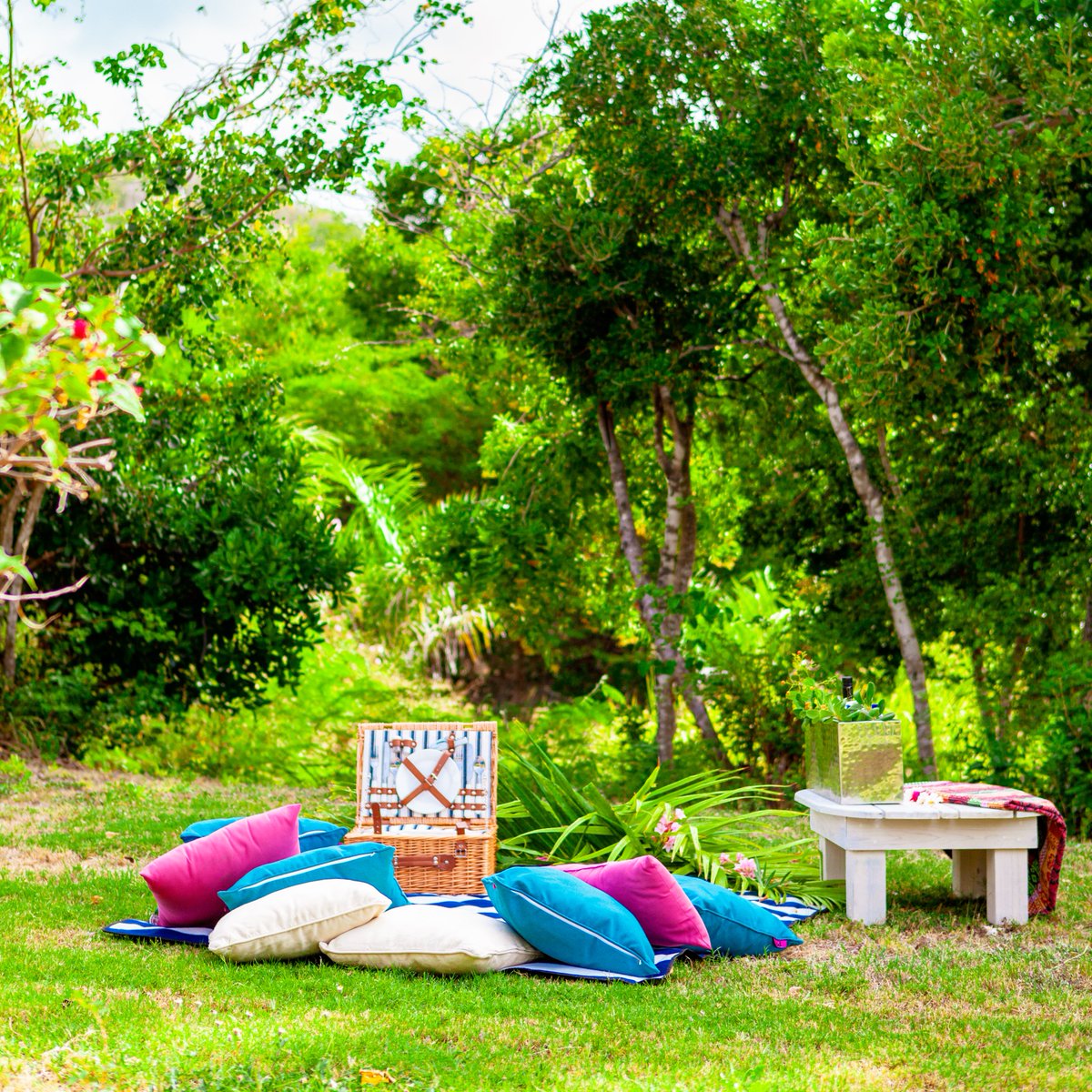 nonsuchbay's tweet photo. Picnic days are the best days!🥂☀

#EscapeAtNonsuchBay #MagicalMoments #EscapeToParadise #EscapeWithLove #CaribbeanTravel #AntiguaBarbuda #TravelGoals https://t.co/2XQRLYKVvC