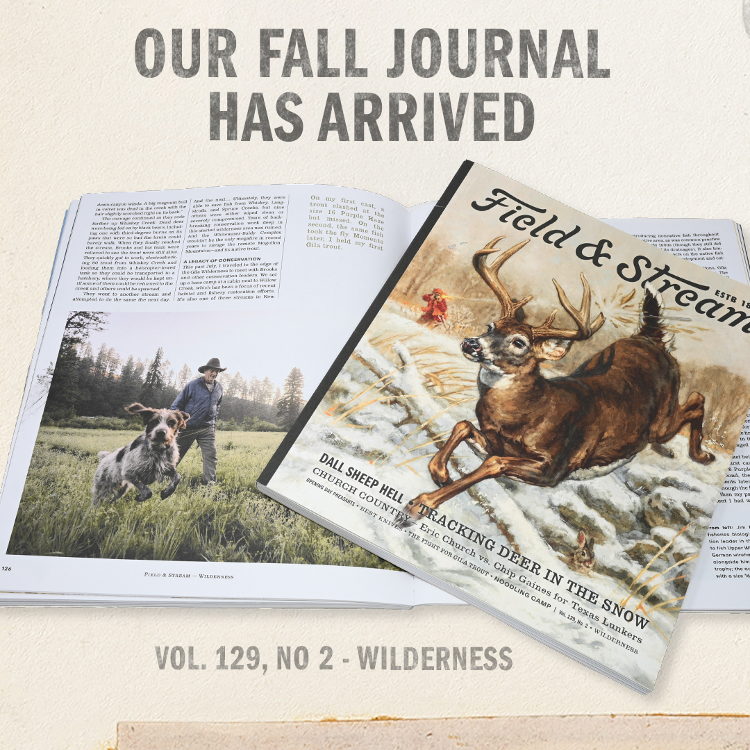 FieldandStream's tweet image. The Wilderness Issue—Volume 129, Issue 2 is here.

Get your Field &amp;amp; Stream print magazine today by becoming an 1871 Club member or buying an individual copy.

fieldandstream.com/1871-club/
fieldandstream.com/products/field…

#TheLegendLives #FieldAndStream #FallJournal