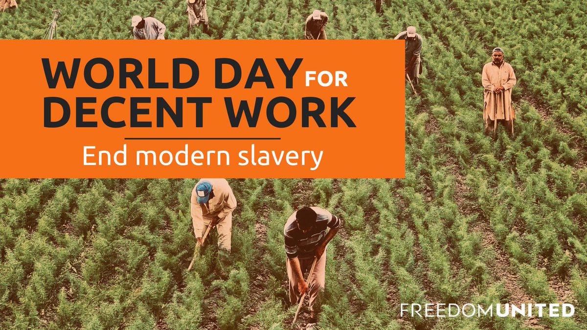 freedomunitedHQ's tweet image. On #WorldDayForDecentWork, Freedom United demands global action to end #modernslavery. Every worker deserves to be free from forced labor, debt bondage, and exploitation. It’s time to create systems that protect all workers from abuse and ensure their fundamental rights.