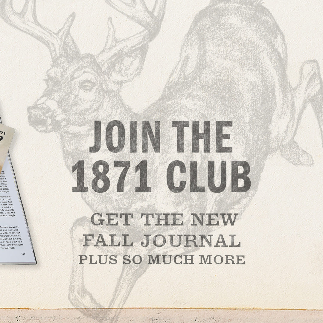 FieldandStream's tweet image. The Wilderness Issue—Volume 129, Issue 2 is here.

Get your Field &amp;amp; Stream print magazine today by becoming an 1871 Club member or buying an individual copy.

fieldandstream.com/1871-club/
fieldandstream.com/products/field…

#TheLegendLives #FieldAndStream #FallJournal