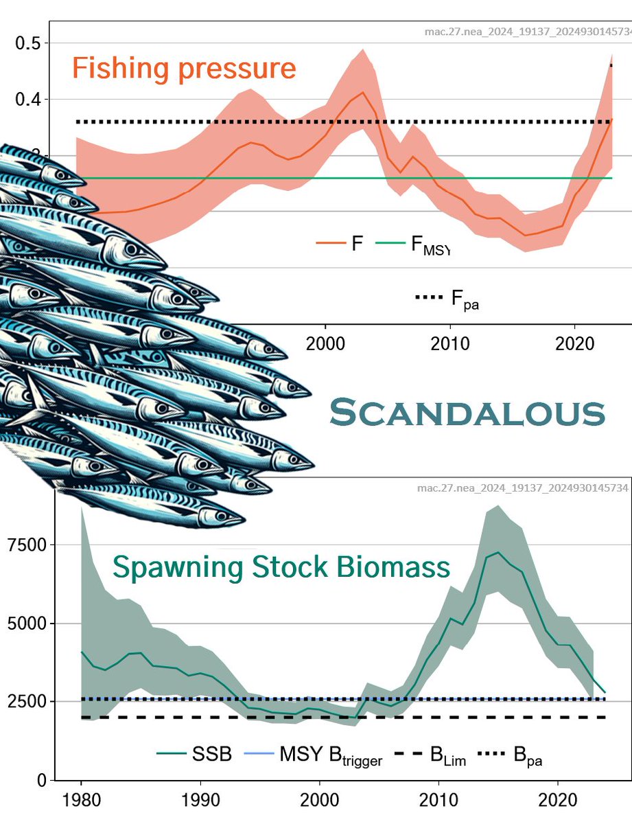 Totally inexcusable: the management of mackerel fisheries by NE Atlantic coastal states. 
I have observed this developing over many years &amp; now able to comment. This is a political failure. We have the science, control &amp; enforcement, &amp; industry good will. ices-taf.shinyapps.io/advicexplorer/….