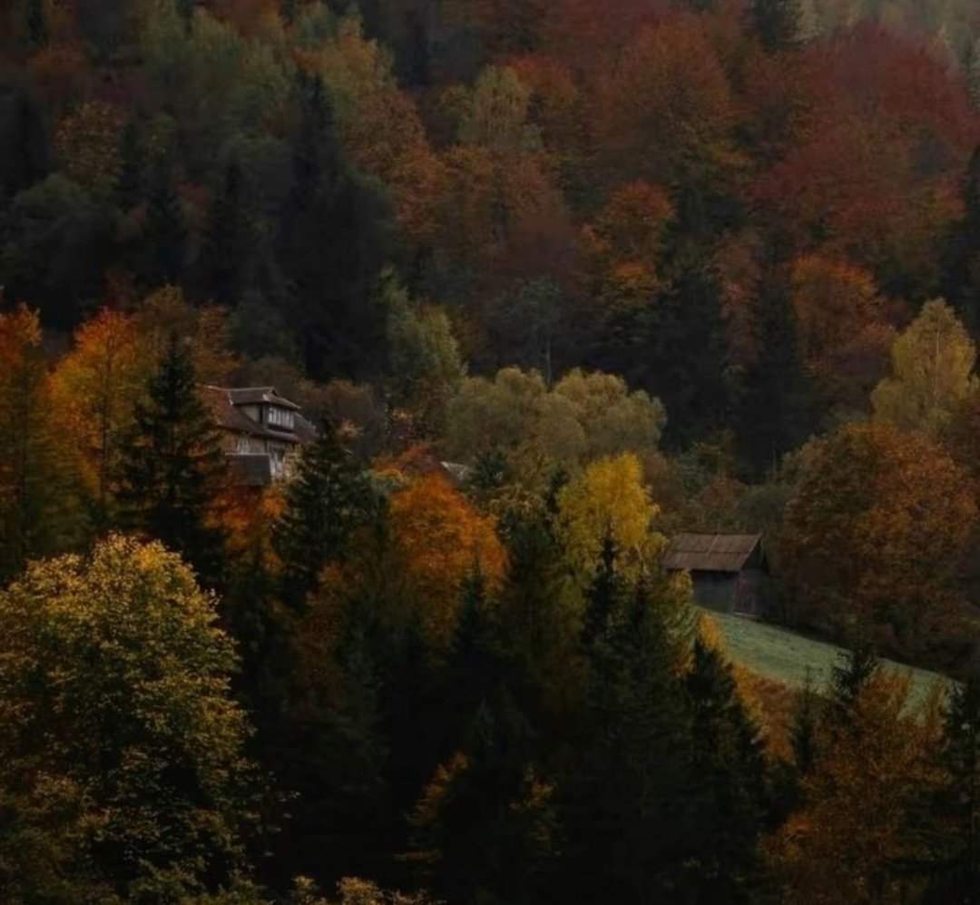 autumn girl tweet media