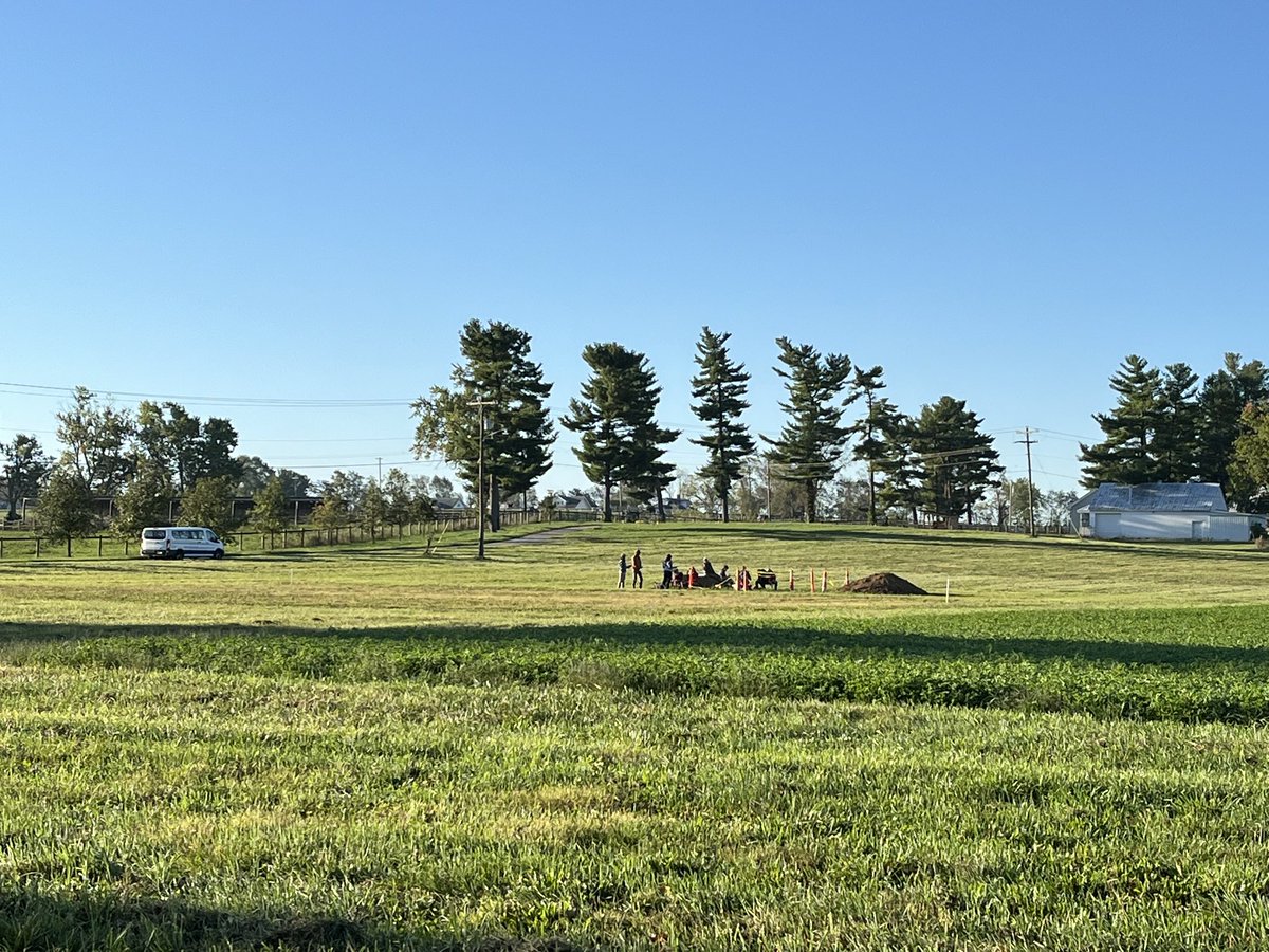 M.C. Ricker 🐲 tweet media