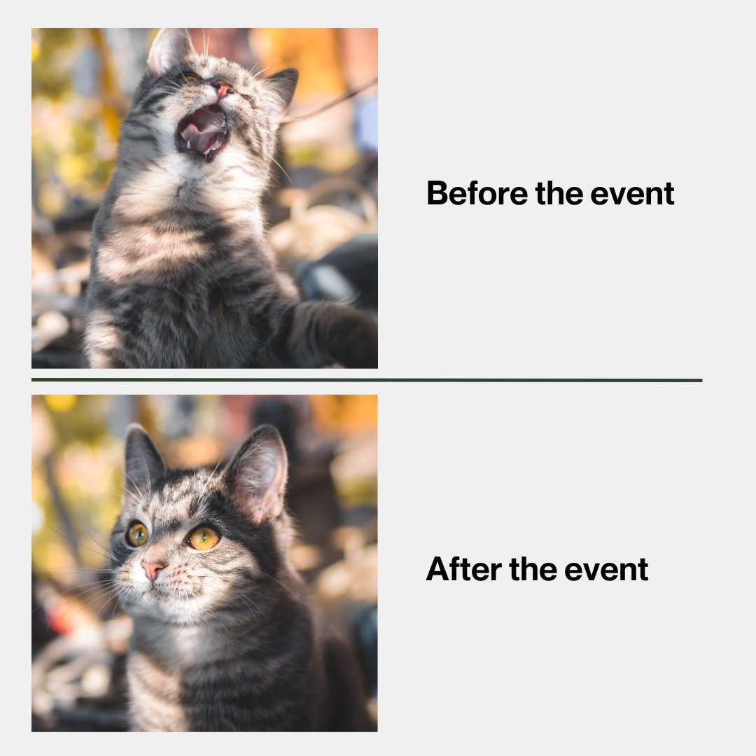 CLIMATECOIN™ tweet media