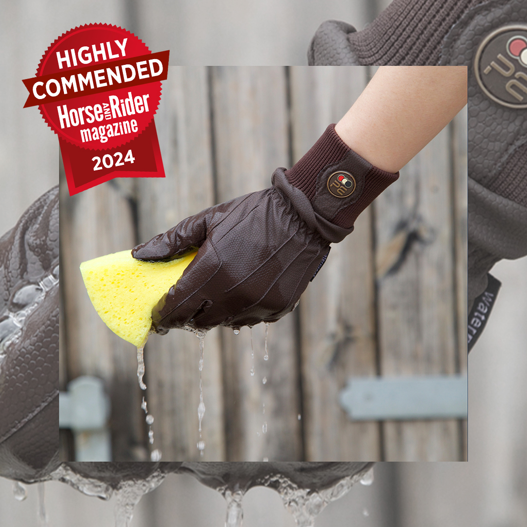 Dajour Gloves!

Link Above 👆...

#PremierEquine