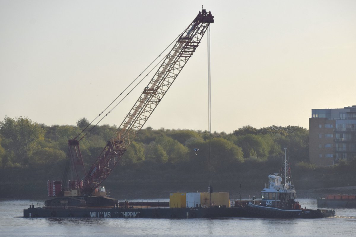 AJBC_1's tweet photo. Today saw the deployment of a @Liebherr_GB #LR1400 #crane on @WillShipping WILCARRY 1717 with @GRSWeGoBeyond #Tug HANS providing the support.
#dlr_blog
#MarineEngineering #Crane #HeavyLift #RiverThames
@HeavyLiftHQ_ https://t.co/7epCzH8jj0