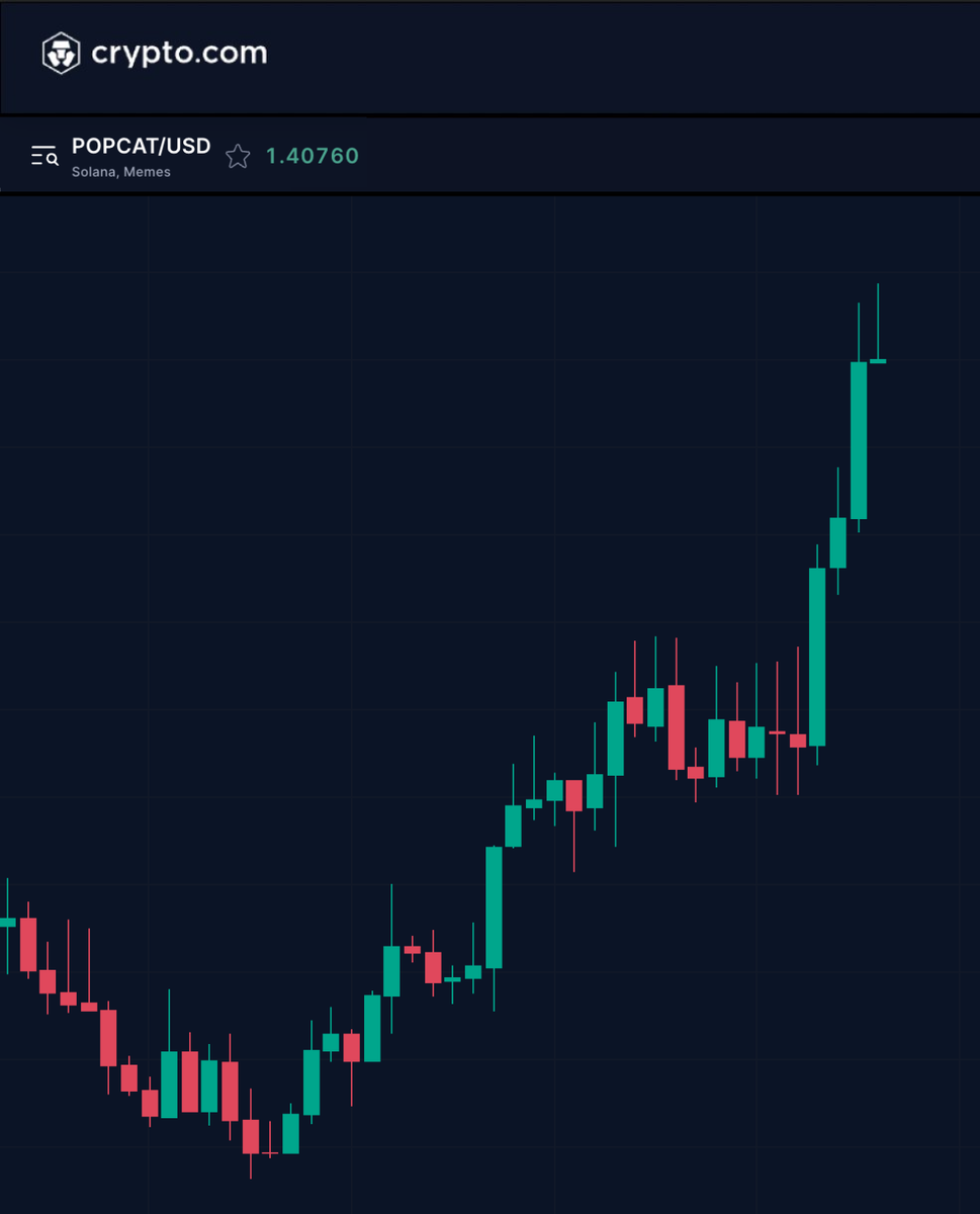 The next $POPCAT ______