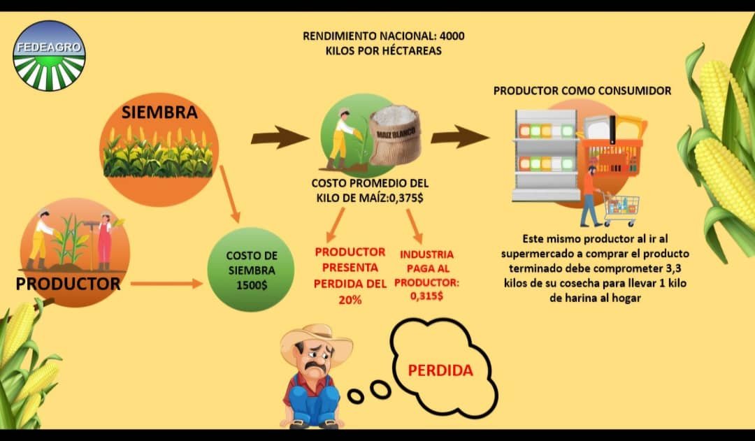 ¿Sabías que para llevar un kilo de harina a la mesa, un productor de maíz debe entregar mucho más de lo que recibe?  La cadena de producción está desbalanceada y perjudica al sector agrícola.
#ProductoresVendenAPerdida