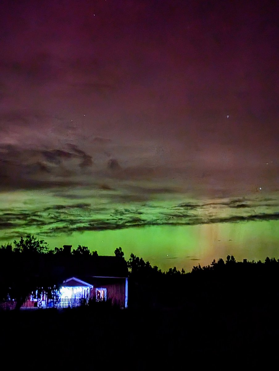 Zum ersten Mal #Nordlichter sehen.
Einfach wow.
#Schweden #Herbst2024