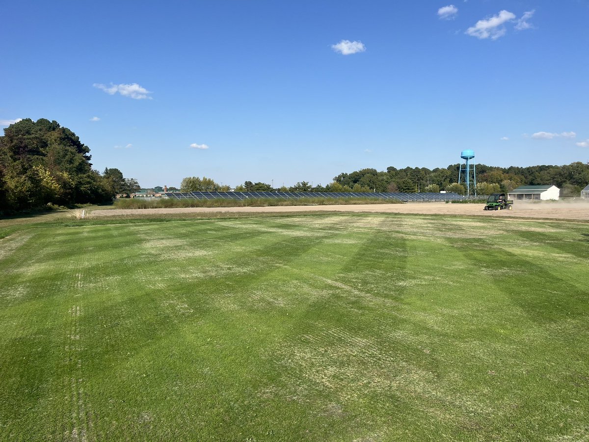 DTCC_Turf's tweet photo. Students in the Turfgrass Management class planted this plot of @MtnView_Seeds 365ss bluegrass about three and a half weeks ago. It’s coming along great. https://t.co/nkYYjCmwVN