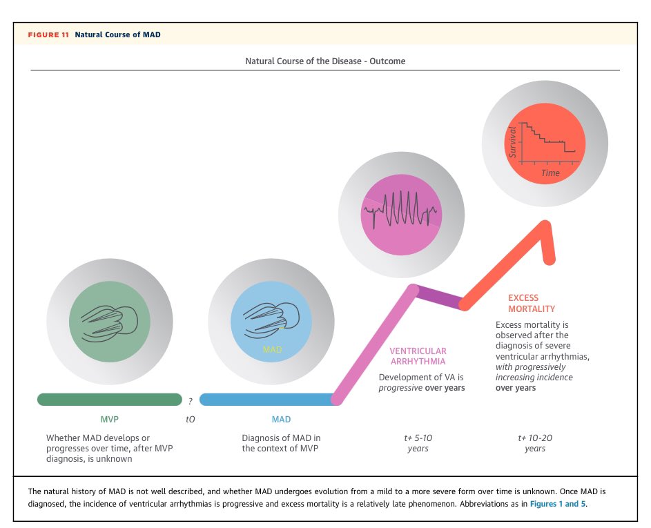 🔴Mitral Annular Disjunction in the Context of Mitral Valve Prolapse: Identifying the At-Risk Patient ⤵️♥️State-Of-The-Art #2024Review  <a href="/JACCJournals/">JACC Journals</a> #openaccess

🔹jacc.org/doi/10.1016/j.…
 #Cardiology #FOAMed #MedEd #medstudent #paramedic #Cardiology #CardioEd