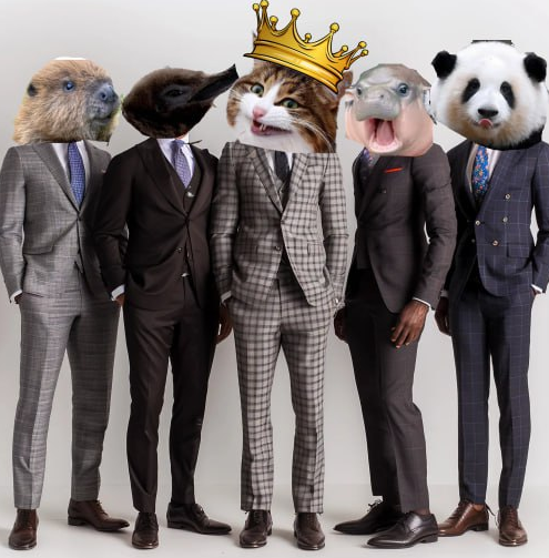 roy23423524's tweet photo. $Rexie's gang is pulling up https://t.co/eDRY5L11LV