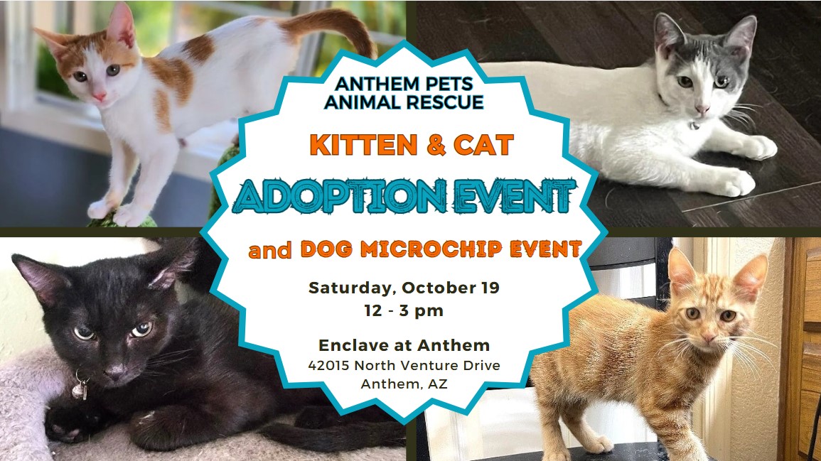 Beautiful, cuddly KITTENS &amp; CATS will be waiting to meet you at The Enclave at Anthem Senior Living Adoption Event on October 19. Anthem Pets will also provide low-cost MICROCHIPS for DOGS for a suggested donation of $25. AnthemPets.org/Adopt