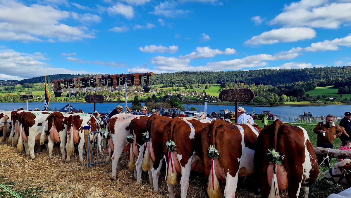 JacquemetAnnick's tweet photo. #Comice de #SaintPointleLac
Quelle merveilleuse vue sur le lac! Un soleil resplandissant, de nombreuses animations, le public venu très nombreux admirer un très grand nombre d'animaux chouchoutés par leurs propriétaires.
Une belle manifestation pour clore la journée de samedi https://t.co/JjS9sCdJE9