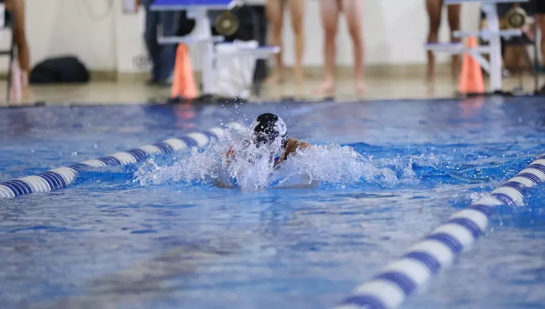 CU Tiger Swim Team tweet media