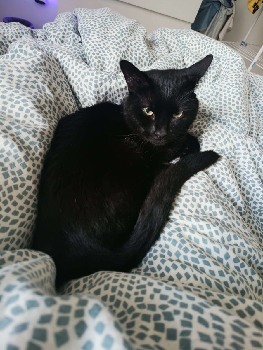 THREAD

Pourquoi il ne faut plus utiliser le terme "Asperger" pour désigner une personne autiste ?

(avec une photo hors-sujet de Paprika pour le référencement)

🔽🔽🔽