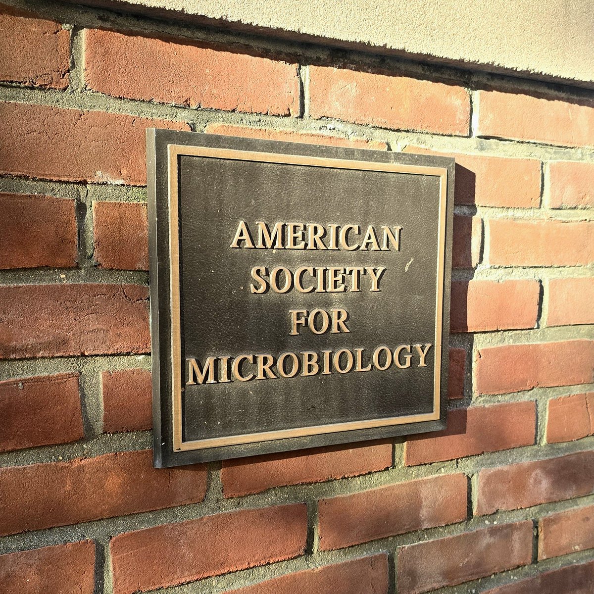 Courtney Swain, Ph.D. tweet media