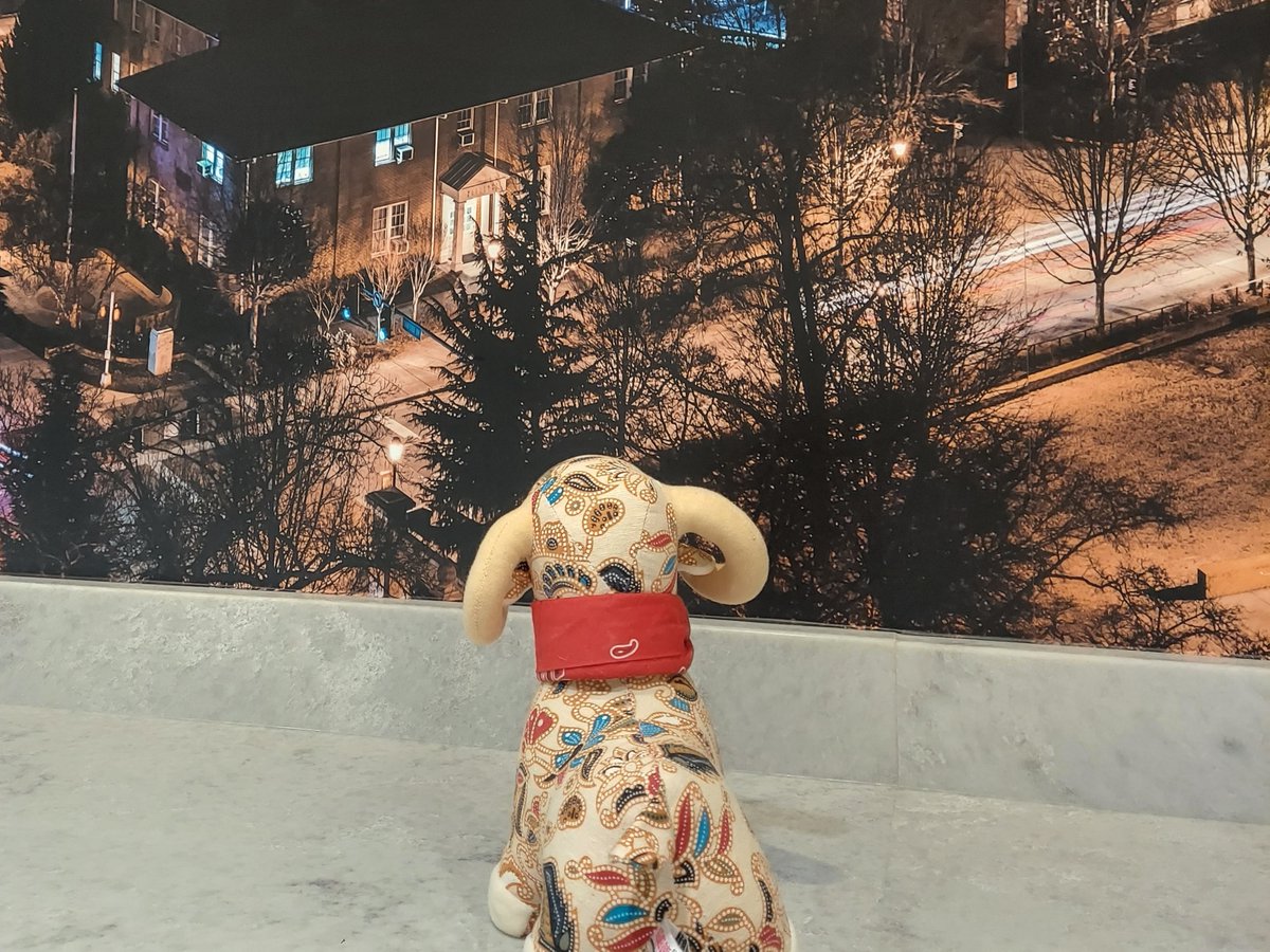 Which office works directly with UGA students/alumni to provide guidance for admission into law, medical, dental, veterinary, optometry schools, and health/nursing programs?

Yep, it's The Pre-Professional Advising Office, at the bottom of Memorial Hall!

#AdventuresOfRammy