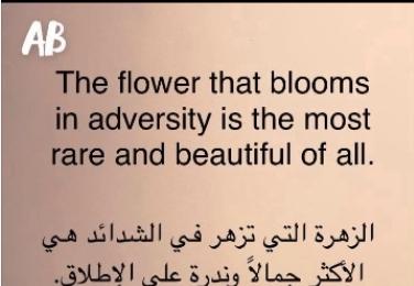 ابو عبدالله (@aboabdullah1196) on Twitter photo 