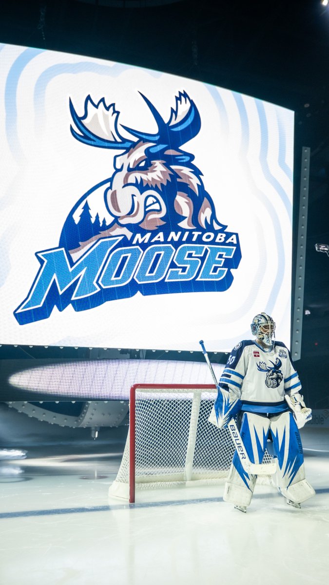 Manitoba Moose tweet media