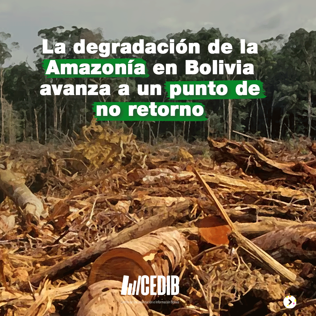 cedib_com's tweet photo. Abrimos🧵)
La #Amazonía ante un inminente colapso ecológico y social, no solo en #Bolivia sino toda la región.
Los #extractivismos (minero, hidrocarburífero, monocultivos, ganadero) asociados a la deforestación e incendios empujan a la región amazónica a un punto de no retorno⚠️ https://t.co/w69cB4KEiG