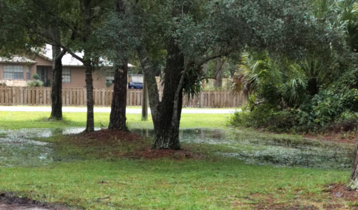 One of the concerning things about Hurricane Milton for us is that our yard is already underwater, days before the storm even reaches us, with more rain in the forecast. This is true in a lot of places. I don't see how we get through this without losing a lot of trees in FL. 😞