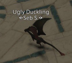SebHecc's tweet image. I dont think thats a duck-