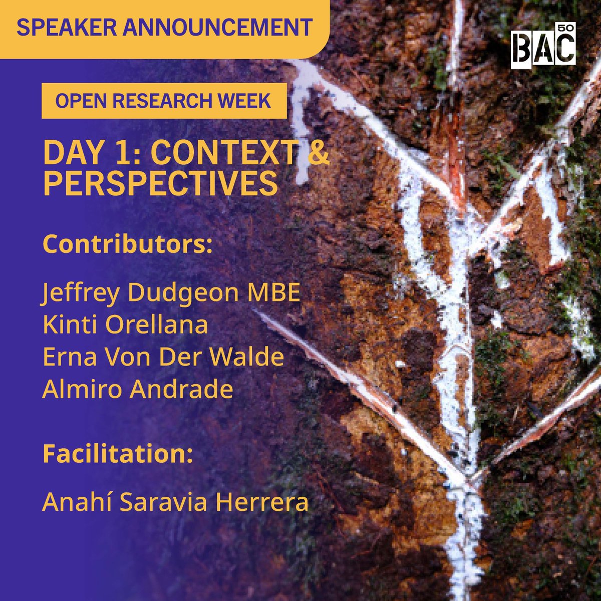 BatterseaArtsCentre tweet media