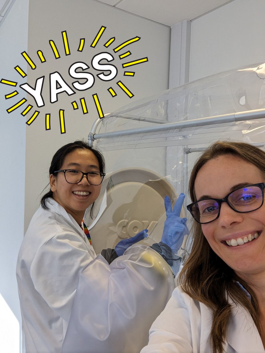 Prof Claire Corkhill tweet media