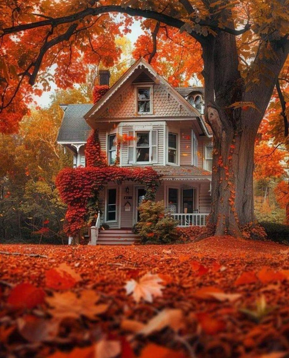 fatima01h's tweet photo. جیسی گزر رہی ہے غنیمت ہے ہم نشیں...!!!
اب زندگی پہ غور کی فرصت نہیں مجھے...🖤

Good Night X Family.. https://t.co/VLlwcMXEoi