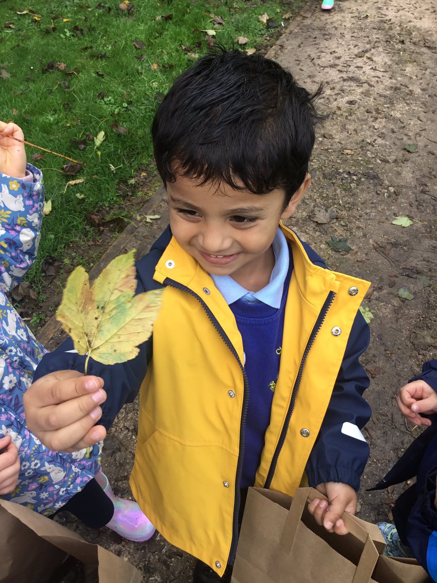 Christletonpri's tweet image. Reception went on an autumnal walk in the sunshine today. They collected leaves and described the colour, texture and size. Great observations and language used! #cpseyfs #cpsscience