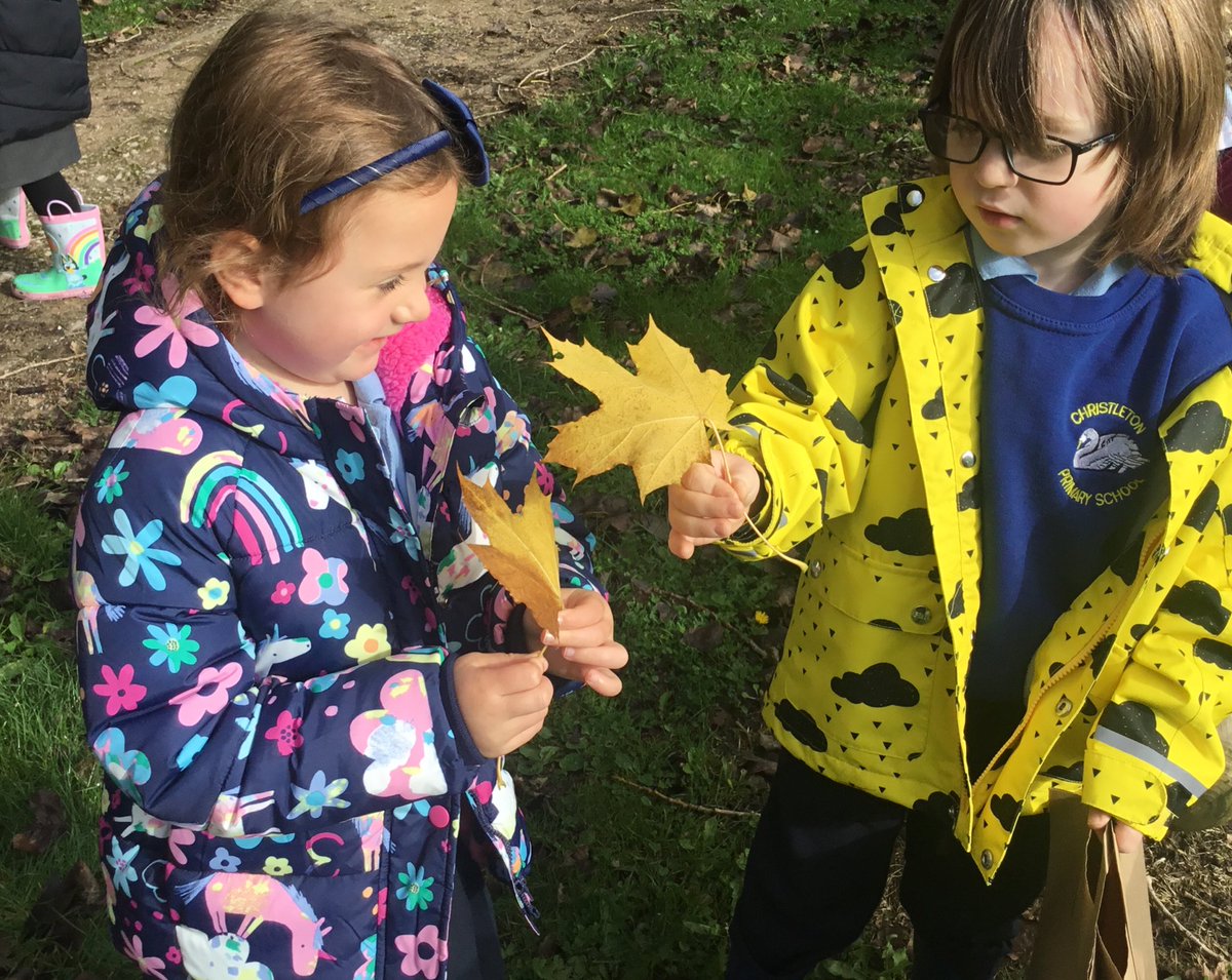 Christletonpri's tweet image. Reception went on an autumnal walk in the sunshine today. They collected leaves and described the colour, texture and size. Great observations and language used! #cpseyfs #cpsscience