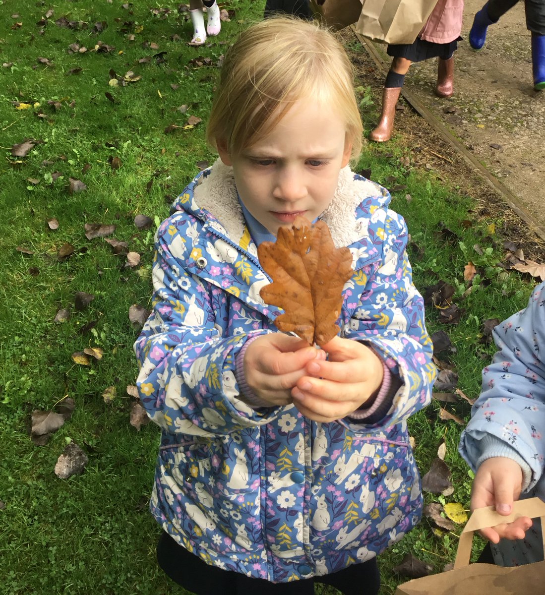 Christletonpri's tweet image. Reception went on an autumnal walk in the sunshine today. They collected leaves and described the colour, texture and size. Great observations and language used! #cpseyfs #cpsscience