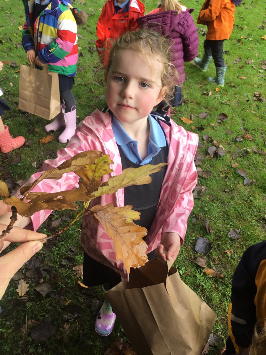 Christletonpri's tweet image. Reception went on an autumnal walk in the sunshine today. They collected leaves and described the colour, texture and size. Great observations and language used! #cpseyfs #cpsscience