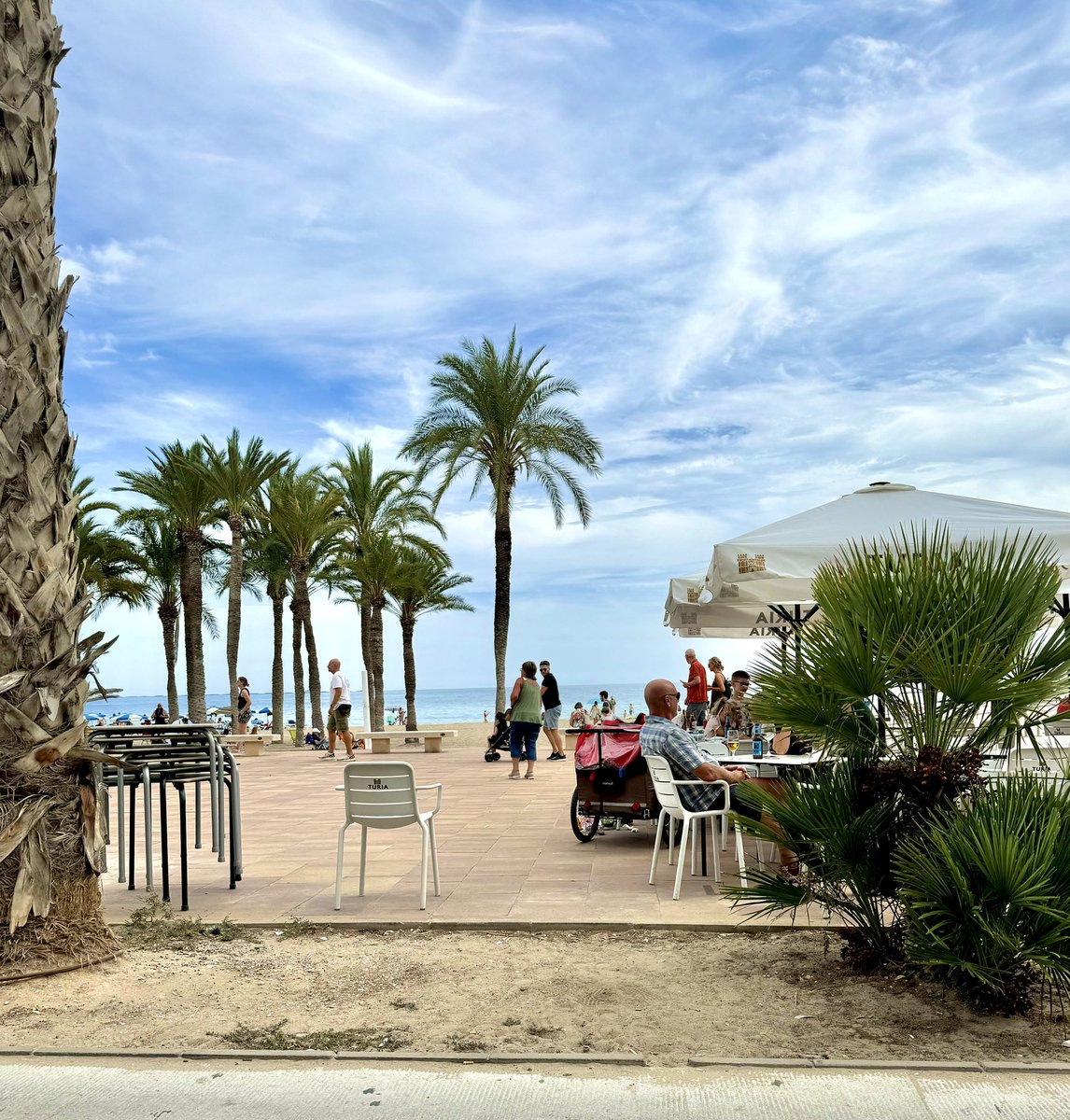 Reece Dinsdale tweet media