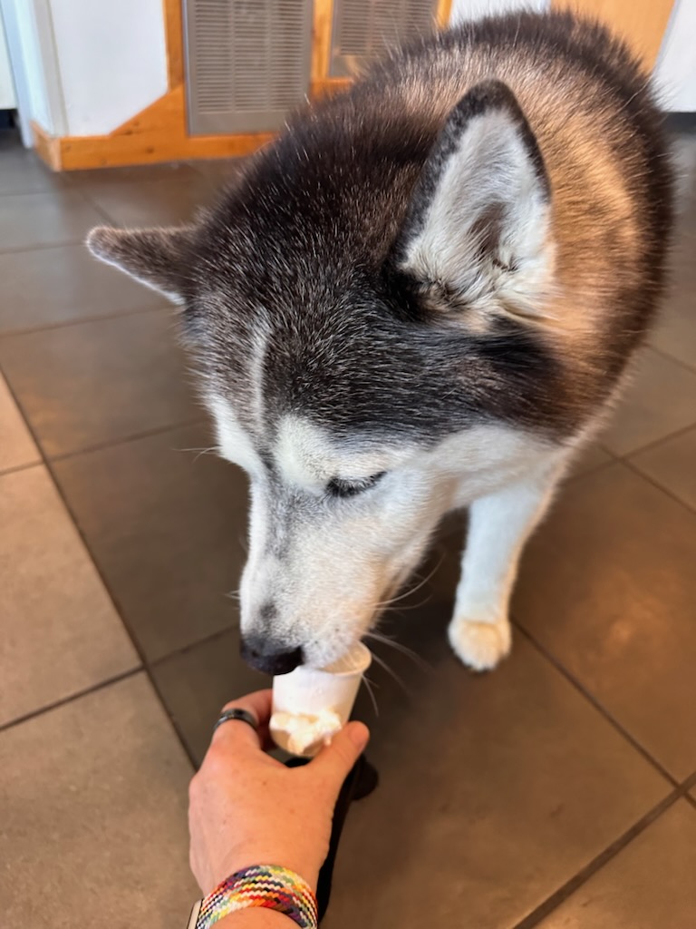 UConnDiningServices tweet media