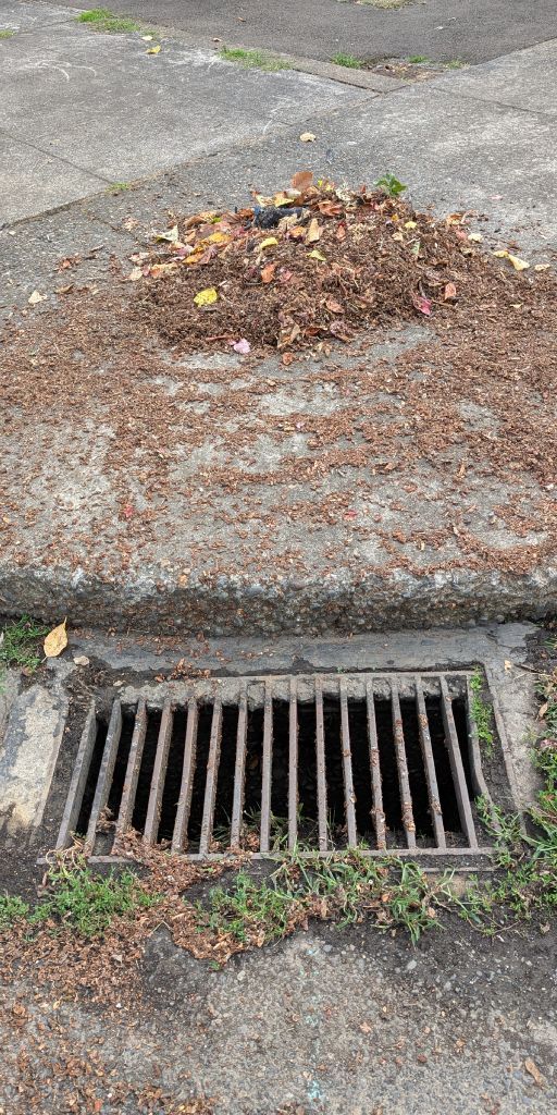 What’s *right* with this picture?

✔️ Storm drain is clear of debris
✔️Grate is in place
✔️Water is protected at the source

Learn more easy ways to keep your drinking water safe with these 10 tips: bit.ly/10-tips-source…