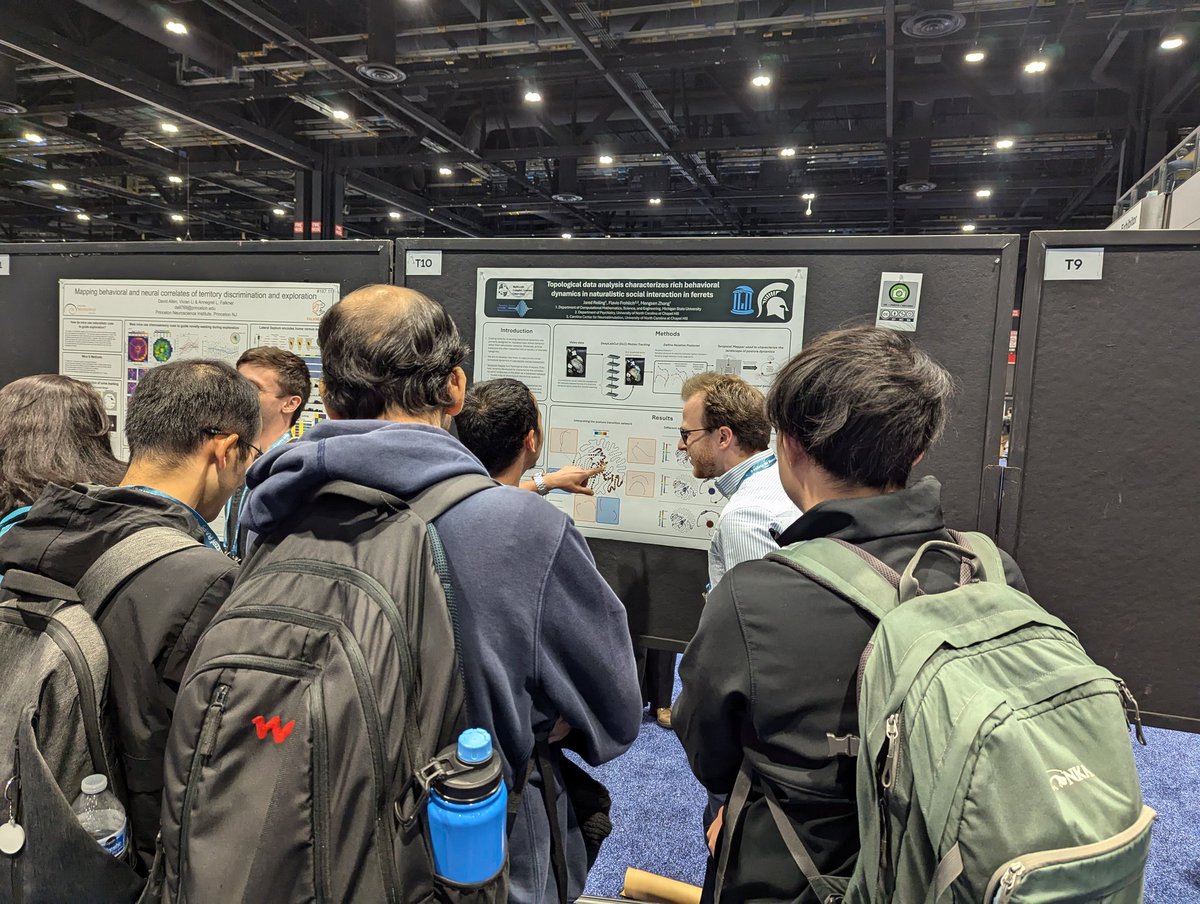 Mengsen Zhang tweet media