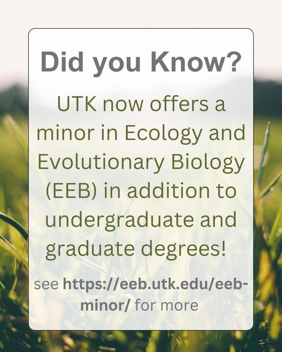 Happy #MajorMonday! Did you know EEB now offers a minor in addition to a major? Interested students can go to eeb.utk.edu/undergraduate/… to learn more about requirements and courses!