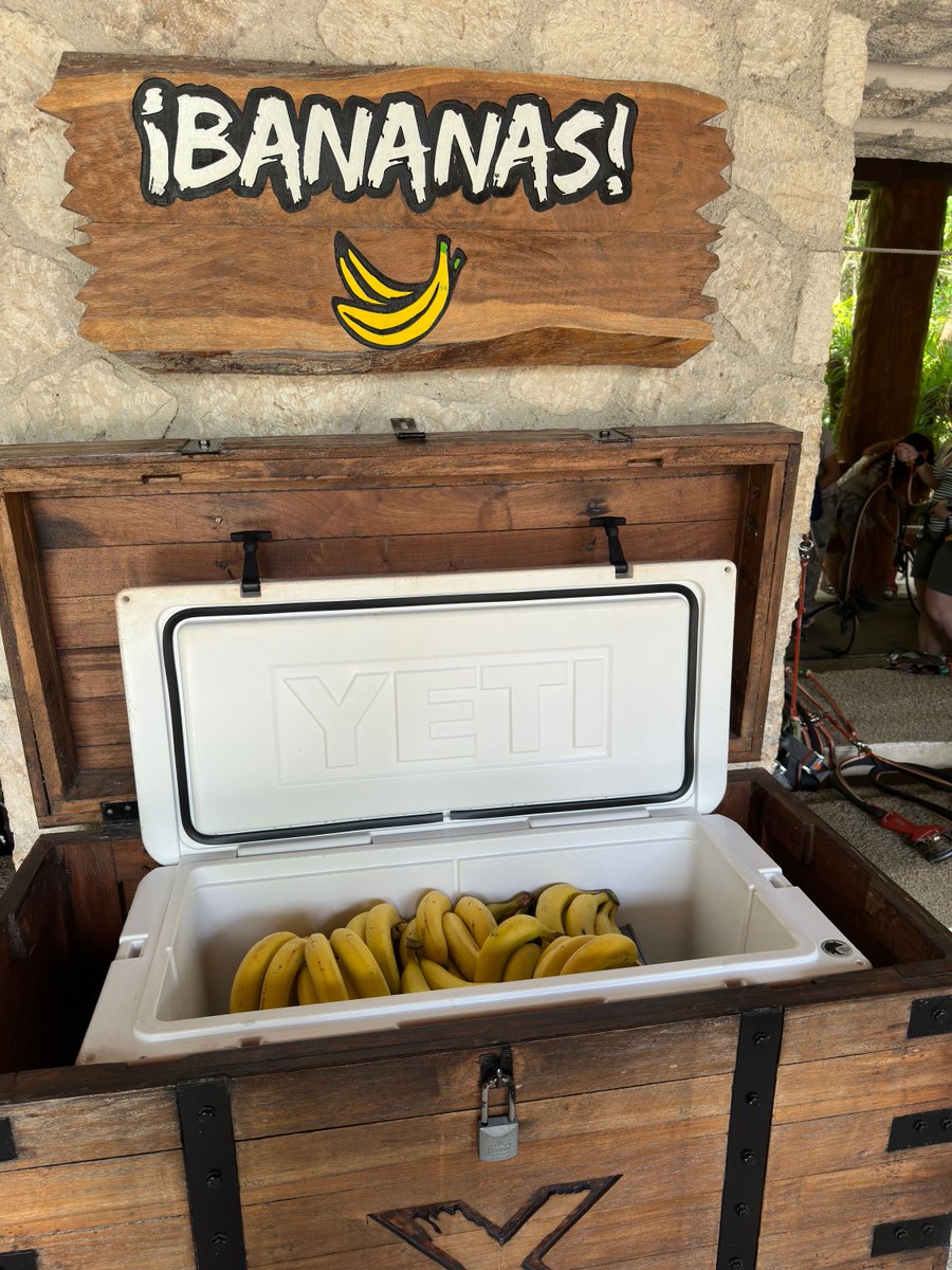 Are you ready for the Ropes Course? 
👉🏻 Step #1: pay attention to the instructions. 
👉🏻 Step #2: practice with click-it hooks.
👉🏻 Step #3: choose your level. 😎 
👉🏻Step #4: take your prize. 🍌