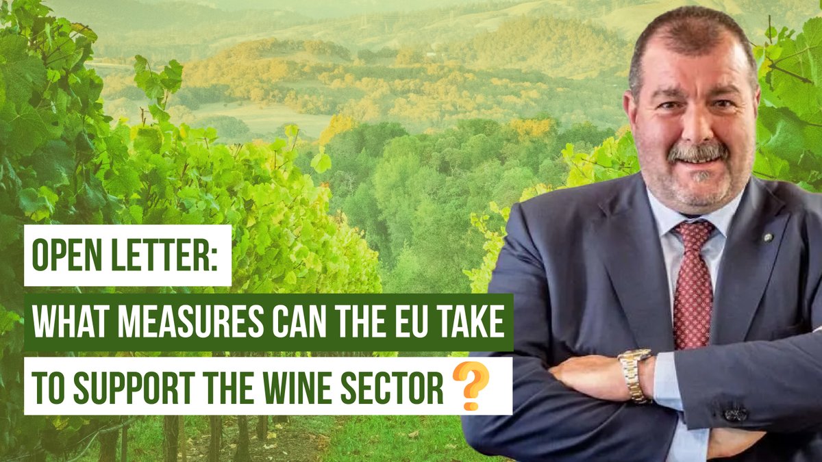 🍇It is a topic that is receiving more and more attention: the 🇪🇺 wine sector is experiencing a particularly difficult time. As it is often the case in agriculture, there is no single cause, but rather a combination of factors. 

In this opinion piece, our Wine Working Party